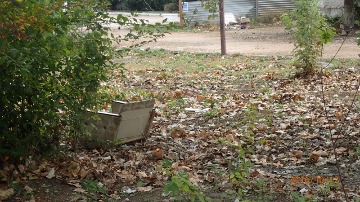 Корчагина 16а_2